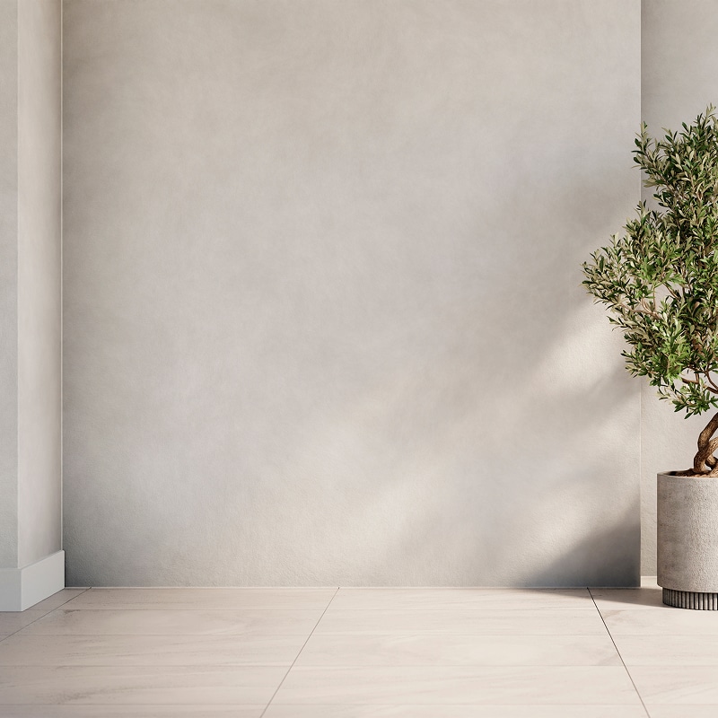 Mur texturé beige minimaliste style micro-ciment. Ambiance lumineuse méditerranéenne avec un olivier et ses ombres portées.